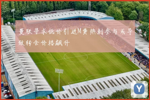 曼联寻求低价引进M费热刺参与或导致转会价格飙升